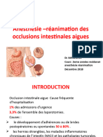 19. Anesthesie reanimation occlusion intestinale aigue