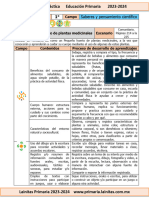 1 Mi Huerto de Plantas Medicinales