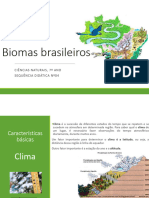 Sd 04 - Biomas Brasileiros