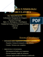 ANAtomia y Fisiologia Circulatoria