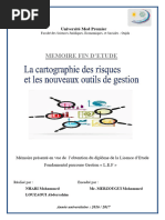 Cartographie des Risques : Guide Pratique | PDF | Risque | Audit