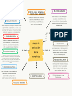 Organizador Grafico Conceptual Doodle Multicolor