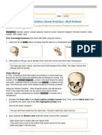 Layla Hollingsworth - Lab 26 Gizmo Skull Analysis and CER - 14405554