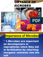 Micro Topic3 Importance