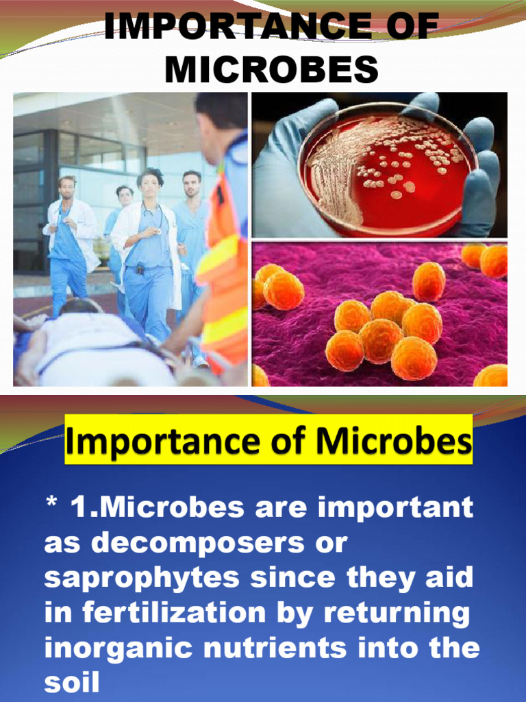 Role of Microbes in Ecosystems and Industry | PDF | Foods | Digestion