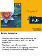 Week 4 Cell Signaling