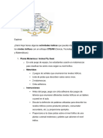 Actividades Lúdicas Niveles Tróficos