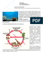 EL FLUJO DE LA MATERIA EN LOS ECOSISTEMAS