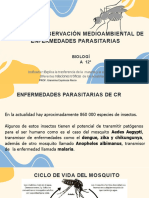 Enfermedades Transmisibles Por Parásitos y Mosquitos. Prof Giannina E.R