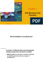 Week 2 Cell Structure and Function