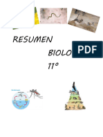 Resumen Biología 11°-1