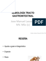 Tracto Gastrointestinal