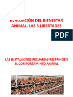 BIENESTAR ANIMAL Evaluando El B A