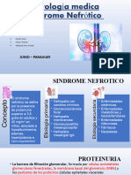 Sindrome Nefrótico