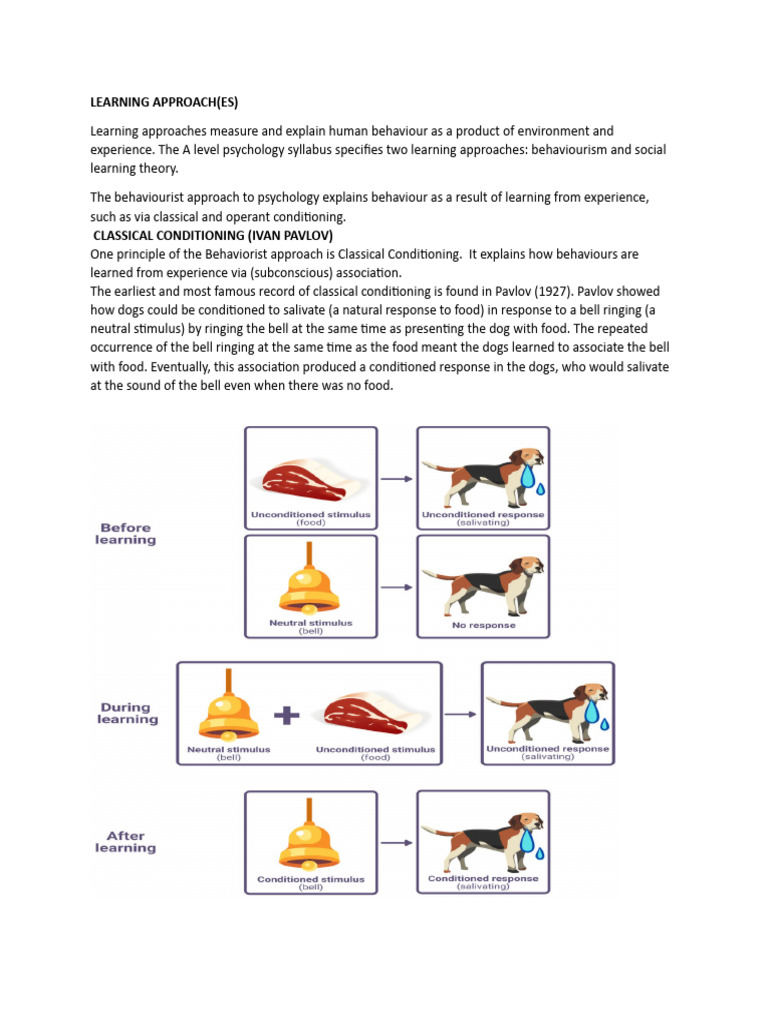 Summary Notes Learning Approach | PDF | Classical Conditioning ...