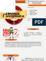 Anemia Ferropenica. Grupo 2