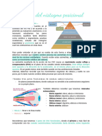 Clase 5 - Nistagmo Posicional