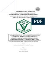 Correcciones - Proyecto 1-B - Estudiantes de la Sección D07 de Medicina Veterinaria