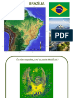 Brazilia 4