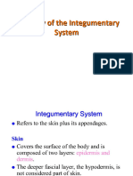 1.integumentary System - Histology