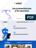 II Les Presentacmos A La Neurona