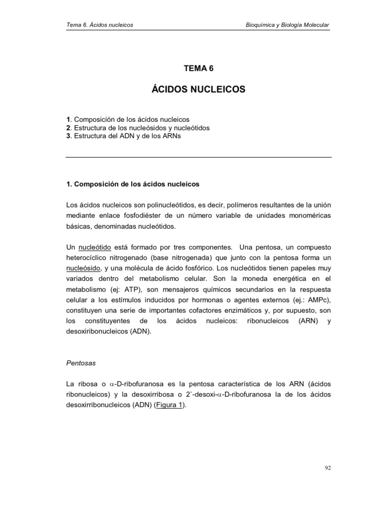 Tema 6 Acidos Nucleicos | PDF
