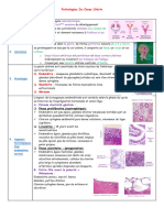 Pathologies Du Corps Utérin