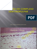 aula Proteção do Complexo Dentinopulpar 4