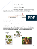 12 - Material Teórico - Reproducción Asexual de Las Plantas