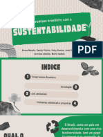 Cópia de Compromissos do brasileiro.pdf