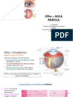 Histologia PRATICA Olho 2024