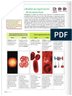 Material Estudio Segundo Periodo Academico 6 Grado