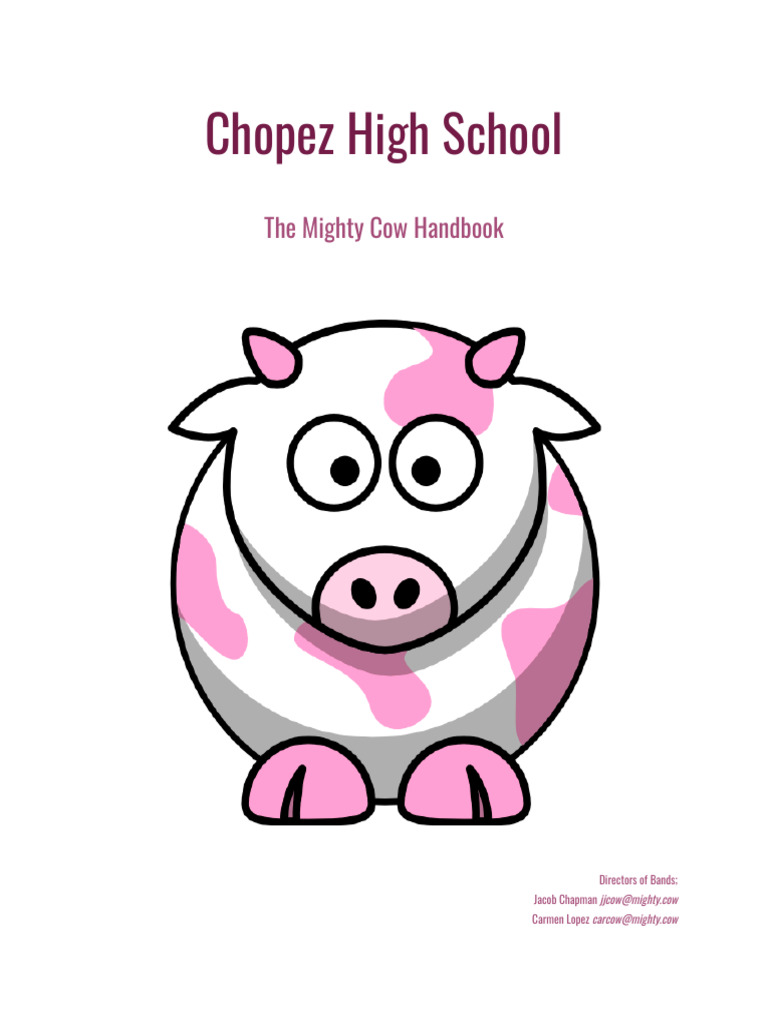 High School Band Handbook Example PDF Audition