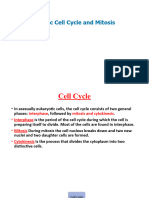 Eukaryotic Cell Cycle and Mitosis