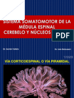 Sesión 11 - Sistema Somatomotor de La Médula Espinal. Cerebelo y Ganglios Basales