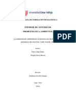 Estructura Del Informe de Problemática Ambiental Final.docx (1)