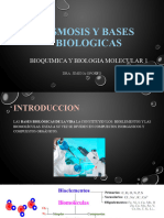 Osmosis y Bases Biologicas