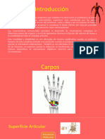 Biomecanica 2