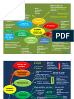 Mapa Conceptual Gpo 2024