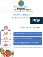 Filtración Glomerular y Tasa de Filtración Glomerular