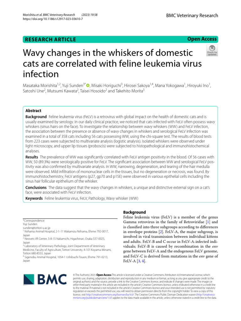 Wavy Changes in The Whiskers of Domestic Cats Are Correlated With ... - Leukemia In Housecats Caution Warnings Given
