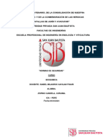 Normas de Seguridad Práctica en Laboratorio N°1 Espino Candela Coraima