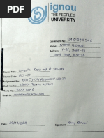 PDF Document