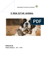 Trabalho de Cid - Bem Estar Animal