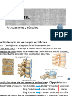 Articualciones y Músculos de Columna