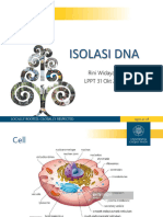 Isolasi DNA LPPT 31OKT2023