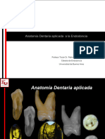 Httpsod - Odontologia.uba - Aruacadendodonciadocs2017presentacion14 3 PDF