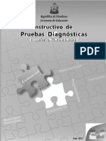 Instructivo Prueba Diagnostica