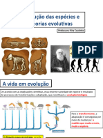 Aula Evolução