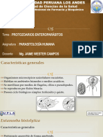 Protozoarios Enteroparásitos Entamoeba y Giardia